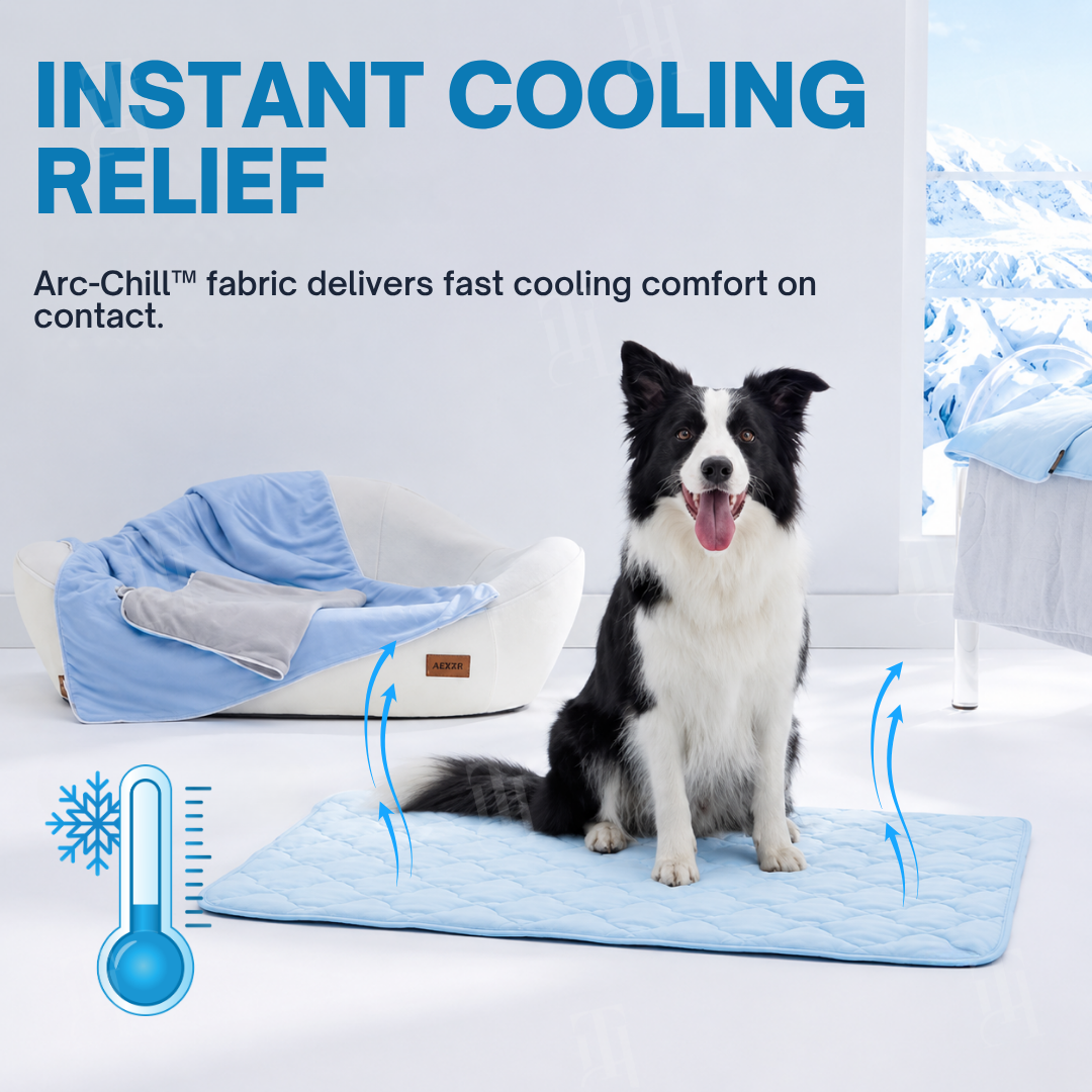 AEXZR® Advanced Ortho-Cool Pet Mat | Thermochromic Safe Cooling Pad