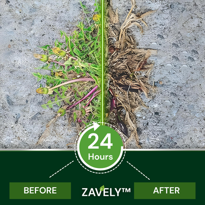 🏆ZAVELY™ 2 in 1 Max Power Herbicide – Dual-Action Weed Killer for Fast & Lasting Results✅