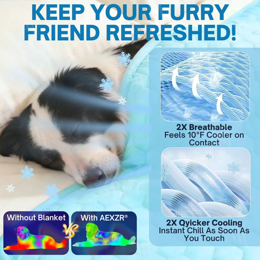 AEXZR® Advanced Ortho-Cool Pet Mat | Thermochromic Safe Cooling Pad