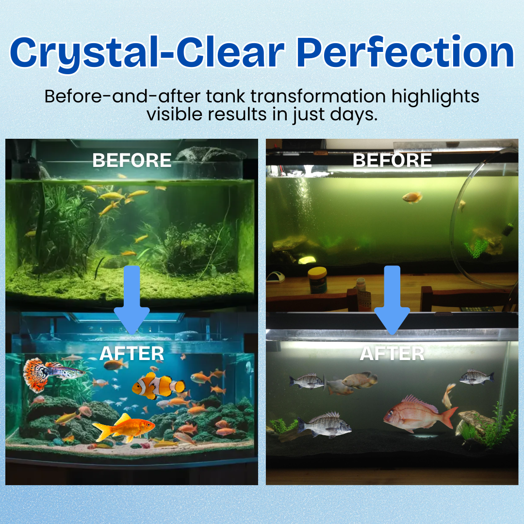 🏆ZAVELY™ Aquariums Aqua-Guardian Blend -✨ Dual-Action Bio-Restoration for a Healthier, Clearer Aquarium🐠