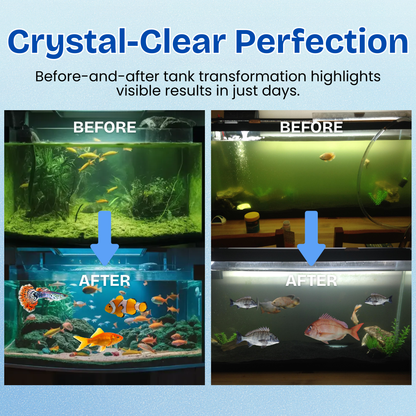 🏆ZAVELY™ Aquariums Aqua-Guardian Blend -✨ Dual-Action Bio-Restoration for a Healthier, Clearer Aquarium🐠