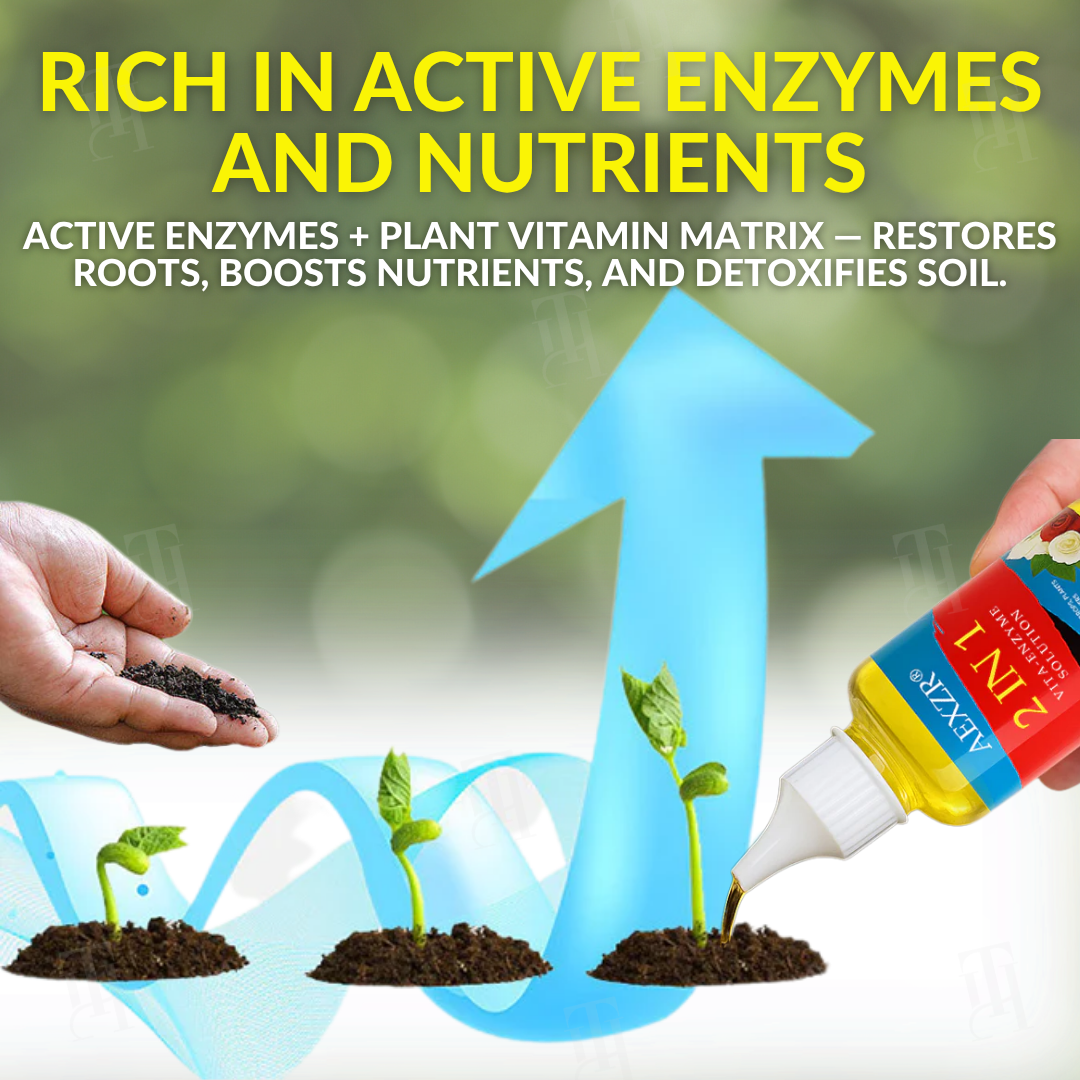 AEXZR® 2 in 1 Vita-Enzyme Solution