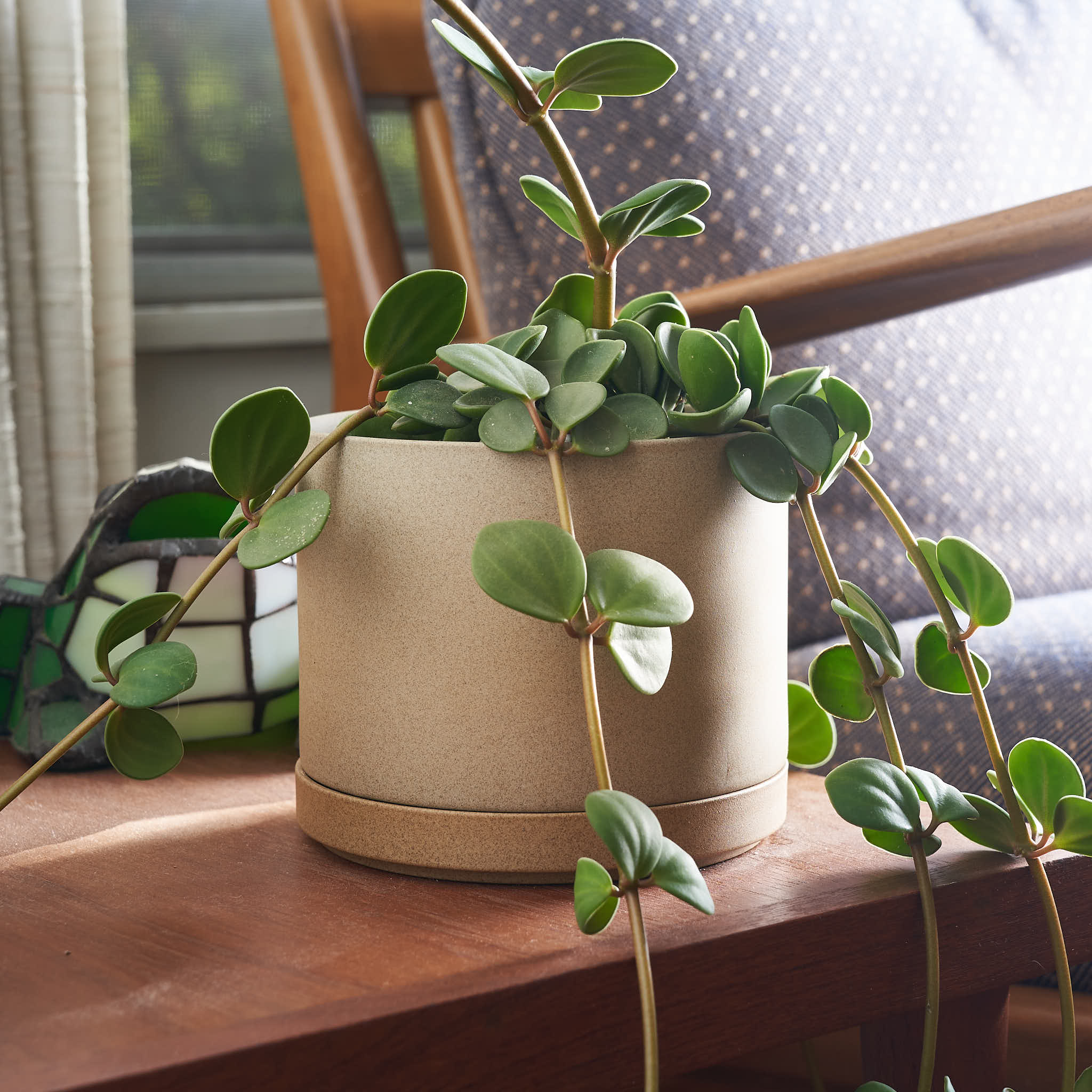 Planter, Unglazed Porcelain